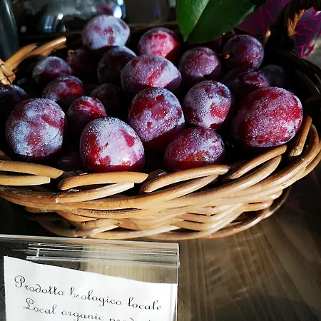 Albaruja 4* Costa Rei